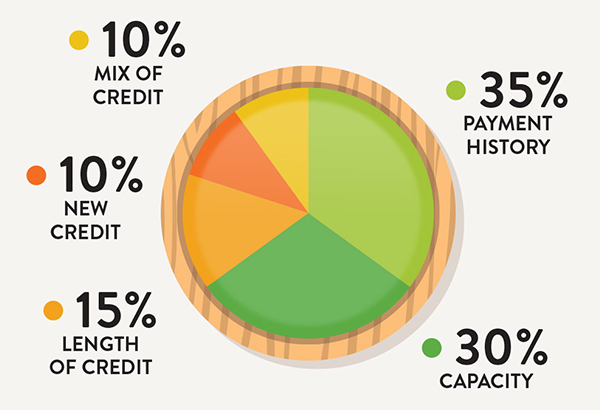 Breakdown of a Credit Score Banner